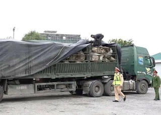 Thu giữ gần 500 tấn đá thạch anh không có hoá đơn xuất xứ