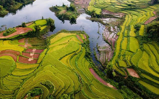 Lâm Bình: Sắc Xuân tinh khôi nơi đại ngàn