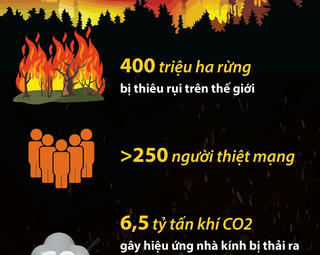 Hơn 250 người thiệt mạng do các vụ cháy rừng trong năm 2023