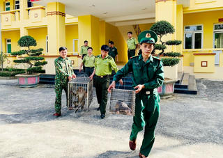 Bị phát hiện, đối tượng bỏ lại bao tải chứa 2 động vật quý hiếm tẩu thoát vào rừng