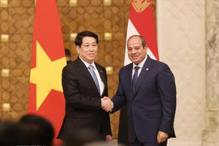 Việt Nam và Ai Cập nhất trí nâng cấp quan hệ lên Đối tác Toàn diện