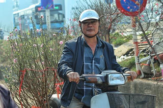 [ẢNH] Người Hà Nội háo hức mua đào chơi Tết sớm
