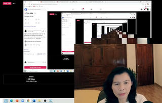 Liên quan vụ bà Nguyễn Phương Hằng: Vì sao nhà báo Đặng Thị Hàn Ni bị bắt?