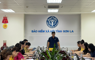 Bảo hiểm xã hội Sơn La: Quyết liệt các giải pháp tăng thu, giảm nợ