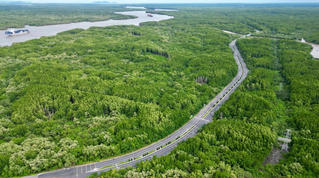 Nỗ lực chuyển đổi năng lượng từ 'nâu' sang 'xanh'