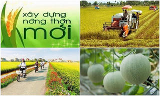 Xây dựng nông thôn mới theo hướng tăng cường chủ động cho các địa phương