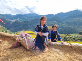 Mùa vàng đắm say