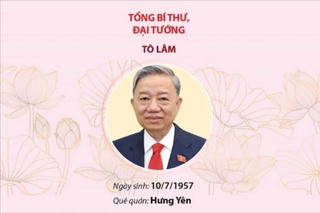 Ban Bí thư Trung ương Đảng khóa XIII
