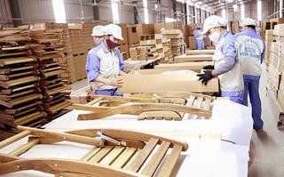 Doanh nghiệp xuất khẩu gỗ và bài toán thương hiệu