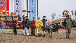 Lão nông 71 tuổi nhập linh khí quân vương hoá hình ảnh Vua Lê Đại Hành cày ruộng