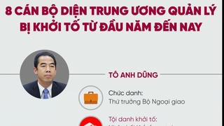 8 cán bộ diện Trung ương quản lý bị khởi tố từ đầu năm đến nay