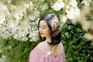 Lung linh mùa hoa cúc Hà Nội