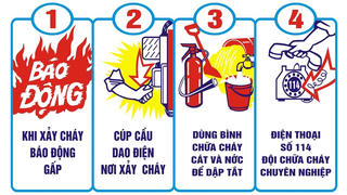 Chặt đến mức nào?