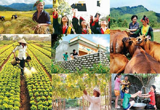 Ninh Bình: Ban hành Kế hoạch giám sát Chương trình Mục tiêu quốc gia