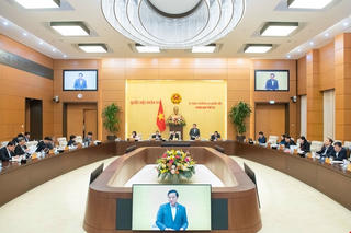 Cơ cấu tổ chức của Quốc hội gồm Hội đồng dân tộc và 7 Ủy ban