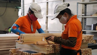 Ngành gỗ khởi sắc