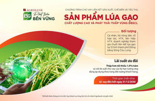 Agribank cho vay liên kết sản xuất, chế biến và tiêu thụ sản phẩm lúa gạo chất lượng cao, phát thải thấp
