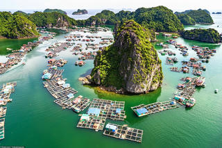 Săn bình minh và hương vị cà phê Việt