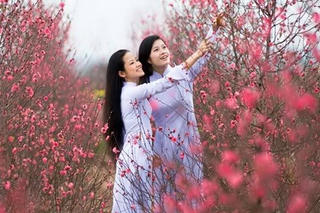 Trong hương hoa ân tình