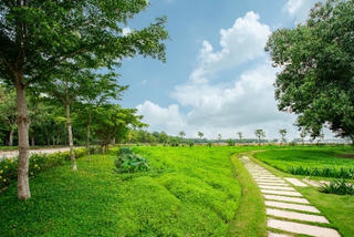 Để có các mô hình 'trang trại sinh thái', 'trung hòa carbon', Vinamilk đã chuẩn bị như thế nào?
