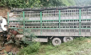 Xe tải chở bò bất ngờ mất lái tông vào chân đồi, tài xế tử vong