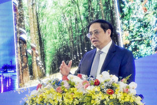 Thủ tướng đặt niềm tin thắng lợi khi Đông Nam Bộ vận dụng phương châm '3 mới'