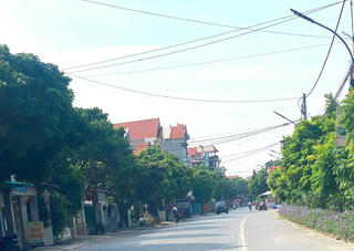 Hải Dương: 720 tỷ đồng cải tạo đường tỉnh 390B