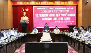 Giám sát việc thực hiện chính sách, pháp luật về phát triển năng lượng tại Thái Bình