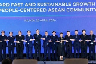30 năm Việt Nam tham gia ASEAN - Từ khát vọng chung đến thành viên tin cậy