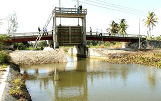 Đồng bằng sông Cửu Long: Xâm nhập mặn đến sớm