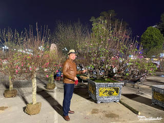 Chợ hoa đào Tết lớn nhất Thái Nguyên dưới tiết trời lạnh giá về đêm