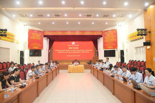 Thanh tra một số dự án có khó khăn, vướng mắc