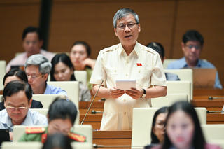 'Tình trạng tham nhũng vặt như chiếc vòi bạch tuộc, vừa nhiều vòi, vừa bám chặt'