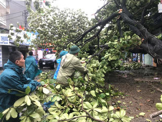 Hà Nội: Hàng loạt cây xanh gãy, đổ do ảnh hưởng bão số 3