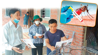 Nóng bỏng sốt xuất huyết