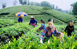 Xây dựng kế hoạch, lựa chọn nội dung giám sát phù hợp