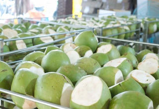 Cơ hội mở rộng xuất khẩu nông sản
