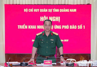 Thăng quân hàm Đại tá Trần Hữu Ích, Chỉ huy trưởng Bộ CHQS TP Đà Nẵng