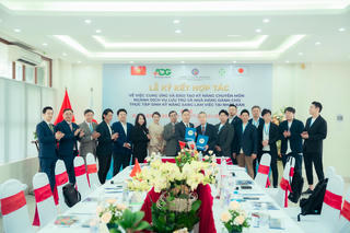 Nâng cao tay nghề cho người lao động Việt Nam làm việc tại Nhật Bản