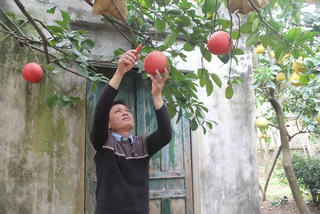 Huyện Mê Linh (Hà Nội) đạt chuẩn nông thôn mới