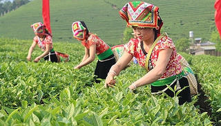 Thành lập Hội đồng thẩm định Chương trình MTQG 1719