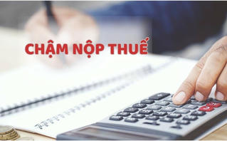 Công ty chưa nộp thuế, nhiều Giám đốc doanh nghiệp bị tạm hoãn xuất cảnh