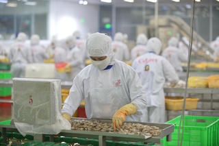 Mở lối cho nông sản