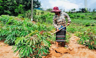 Đảm bảo đất ở, đất sản xuất cho đồng bào dân tộc thiểu số
