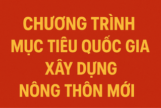 Điều chỉnh vốn ngân sách thực hiện Chương trình mục tiêu quốc gia xây dựng nông thôn mới