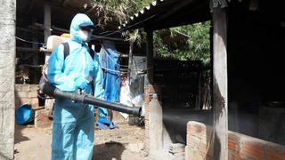 Khánh Hòa: Triển khai thực hiện hỗ trợ khắc phục dịch bệnh động vật