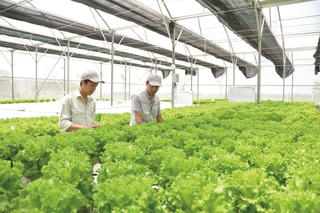 Nâng chất nguồn nhân lực nông nghiệp