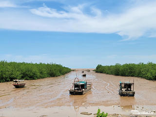 Vành đai xanh nơi cửa biển