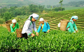 Thúc đẩy bình đẳng giới đối với phụ nữ và trẻ em dân tộc thiểu số