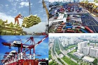 Tăng cường năng lực nội sinh